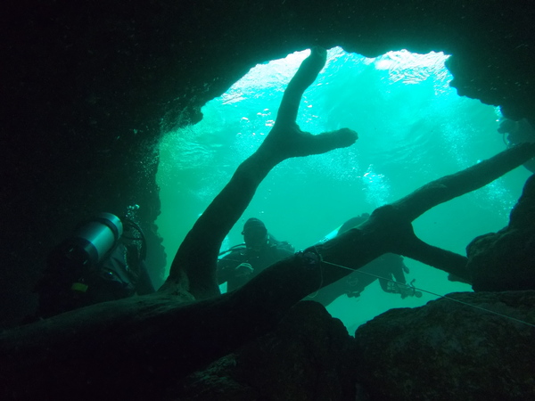 Dayo Scuba Center LLC, Orlando Florida www.dayo.com
