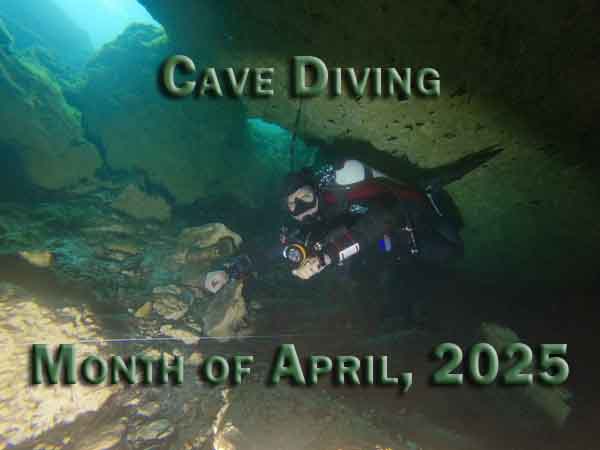 Dayo Scuba Center LLC, Orlando Florida www.dayo.com