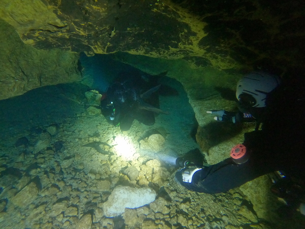 Dayo Scuba Center LLC, Orlando Florida www.dayo.com