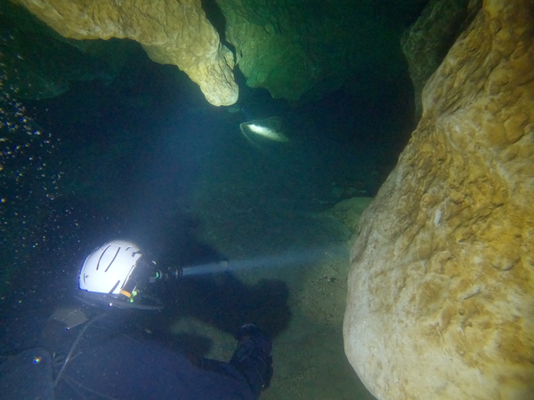 Dayo Scuba Center LLC, Orlando Florida www.dayo.com