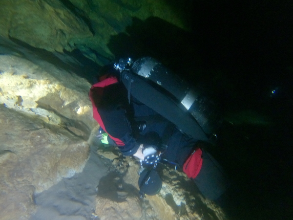 Dayo Scuba Center LLC, Orlando Florida www.dayo.com
