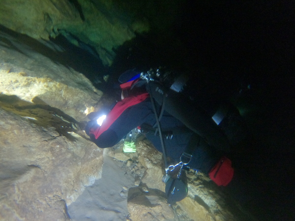 Dayo Scuba Center LLC, Orlando Florida www.dayo.com