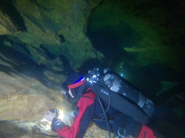 Dayo Scuba Center LLC, Orlando Florida www.dayo.com