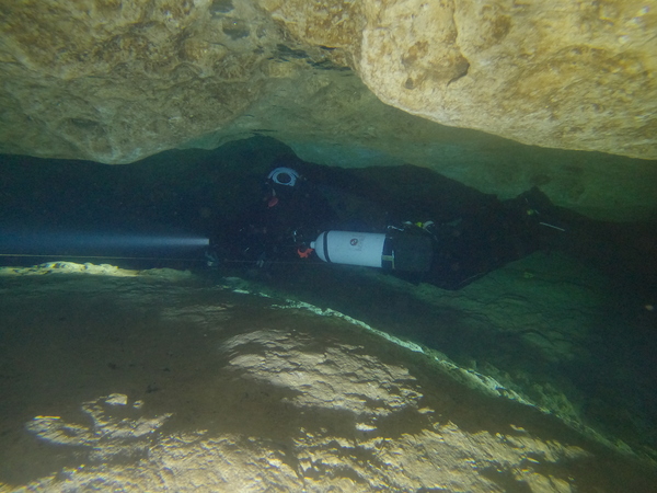 Dayo Scuba Center LLC, Orlando Florida www.dayo.com