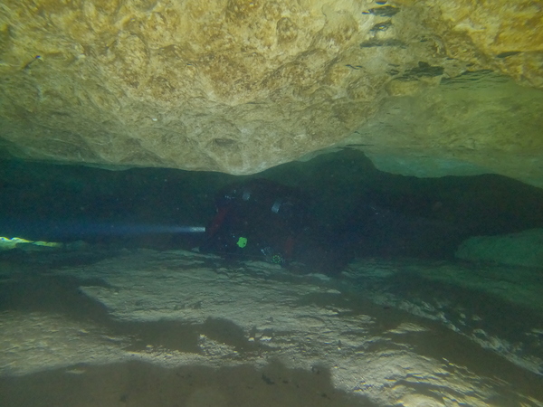 Dayo Scuba Center LLC, Orlando Florida www.dayo.com