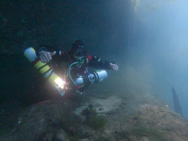Dayo Scuba Center LLC, Orlando Florida www.dayo.com