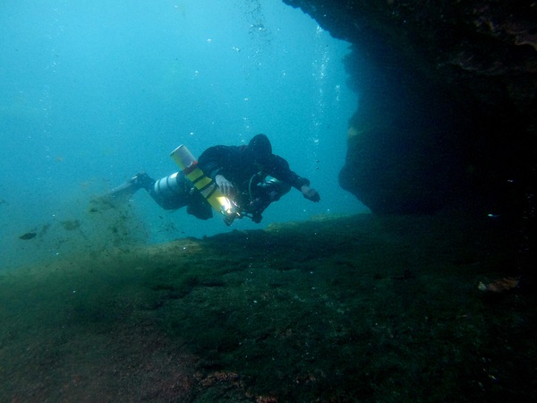 Dayo Scuba Center LLC, Orlando Florida www.dayo.com