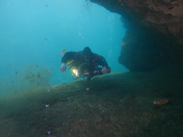 Dayo Scuba Center LLC, Orlando Florida www.dayo.com