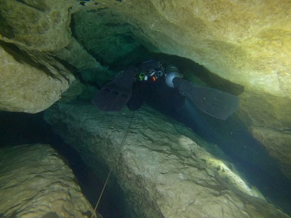 Dayo Scuba Center LLC, Orlando Florida www.dayo.com