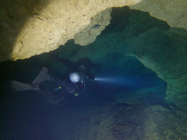 Dayo Scuba Center LLC, Orlando Florida www.dayo.com