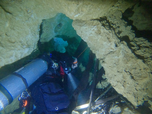 Dayo Scuba Center LLC, Orlando Florida www.dayo.com