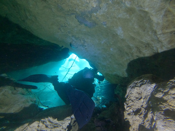 Dayo Scuba Center LLC, Orlando Florida www.dayo.com