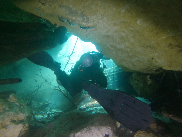 Dayo Scuba Center LLC, Orlando Florida www.dayo.com