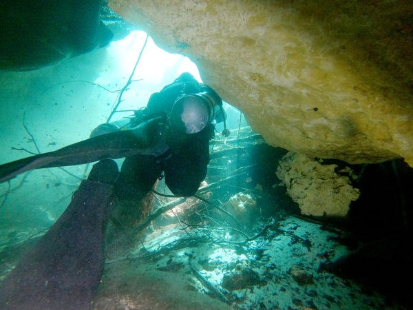 Dayo Scuba Center LLC, Orlando Florida www.dayo.com