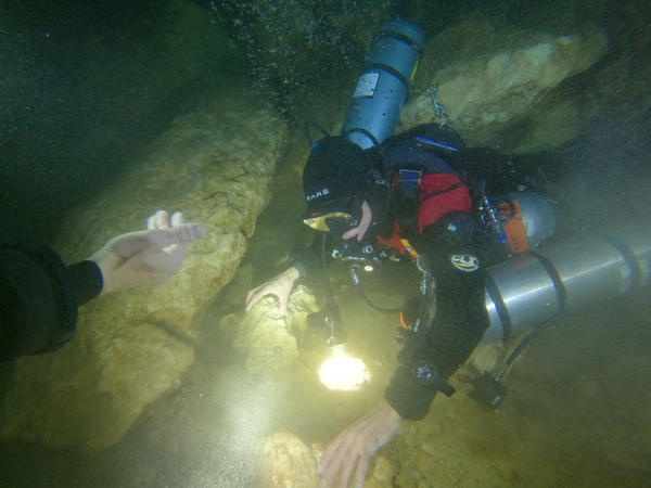 Dayo Scuba Center LLC, Orlando Florida www.dayo.com