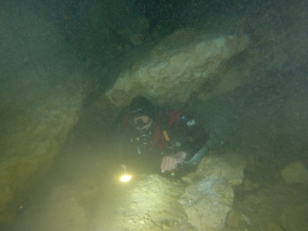 Dayo Scuba Center LLC, Orlando Florida www.dayo.com