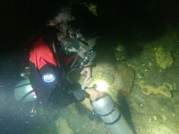 Dayo Scuba Center LLC, Orlando Florida www.dayo.com