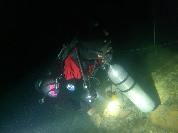 Dayo Scuba Center LLC, Orlando Florida www.dayo.com