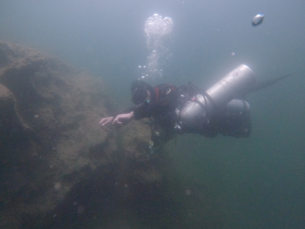 Dayo Scuba Center LLC, Orlando Florida www.dayo.com