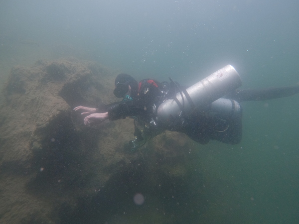 Dayo Scuba Center LLC, Orlando Florida www.dayo.com
