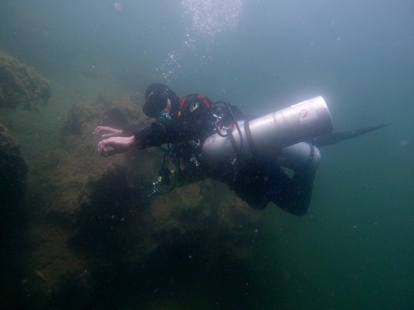 Dayo Scuba Center LLC, Orlando Florida www.dayo.com