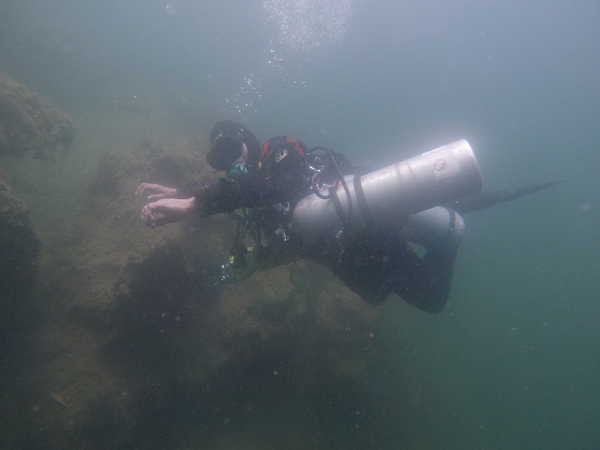 Dayo Scuba Center LLC, Orlando Florida www.dayo.com