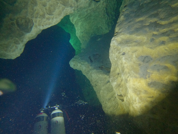 Dayo Scuba Center LLC, Orlando Florida www.dayo.com