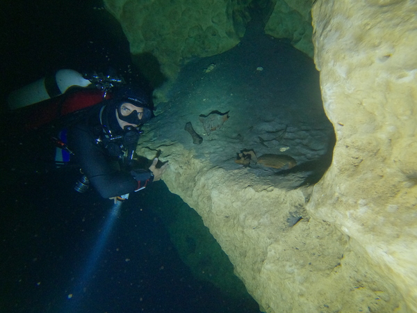 Dayo Scuba Center LLC, Orlando Florida www.dayo.com