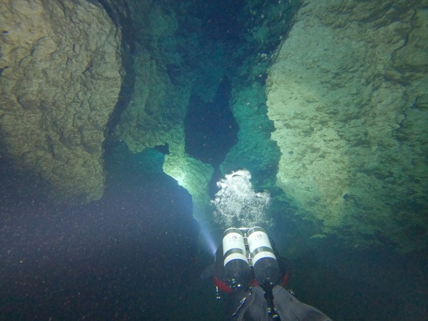 Dayo Scuba Center LLC, Orlando Florida www.dayo.com