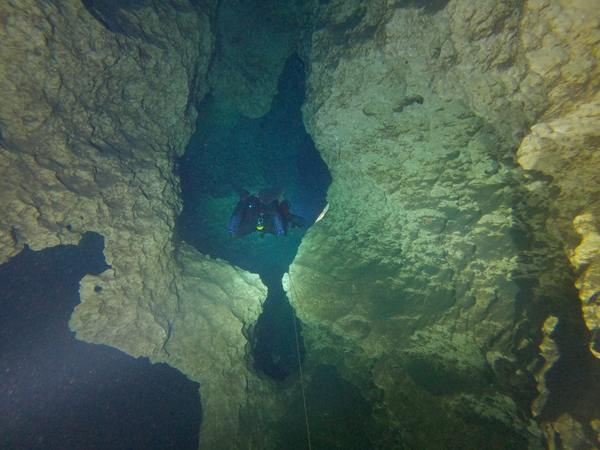 Dayo Scuba Center LLC, Orlando Florida www.dayo.com