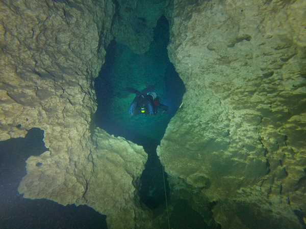 Dayo Scuba Center LLC, Orlando Florida www.dayo.com
