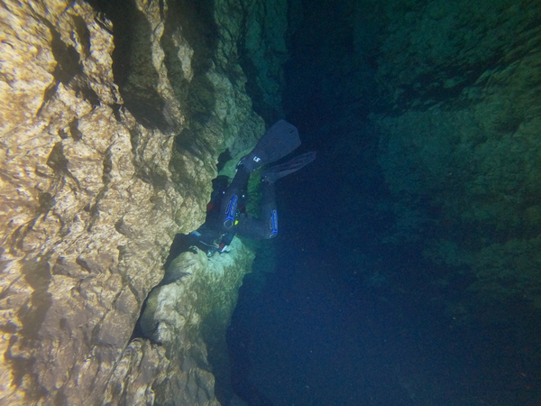 Dayo Scuba Center LLC, Orlando Florida www.dayo.com