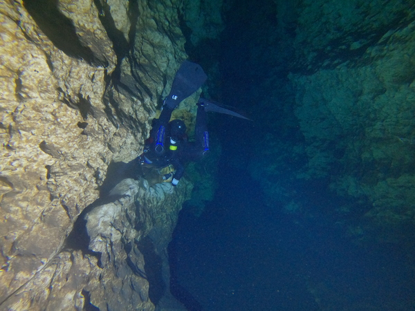 Dayo Scuba Center LLC, Orlando Florida www.dayo.com