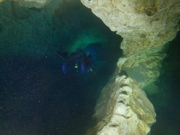 Dayo Scuba Center LLC, Orlando Florida www.dayo.com