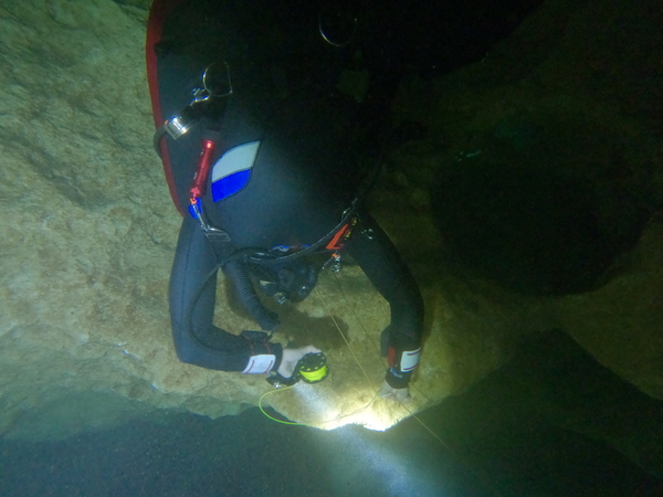 Dayo Scuba Center LLC, Orlando Florida www.dayo.com