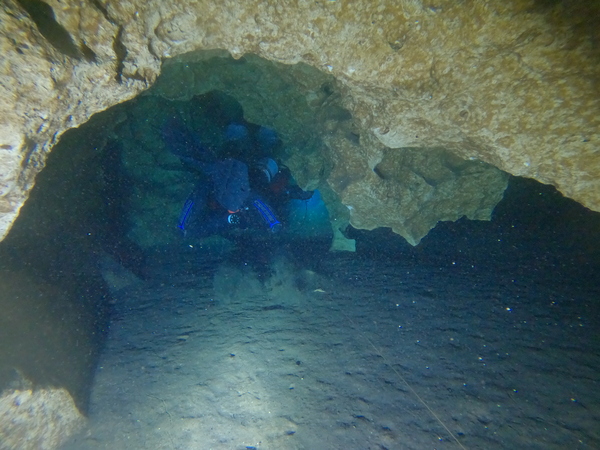 Dayo Scuba Center LLC, Orlando Florida www.dayo.com