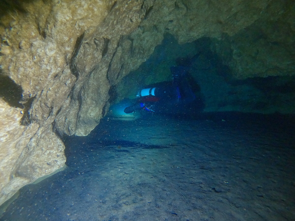 Dayo Scuba Center LLC, Orlando Florida www.dayo.com