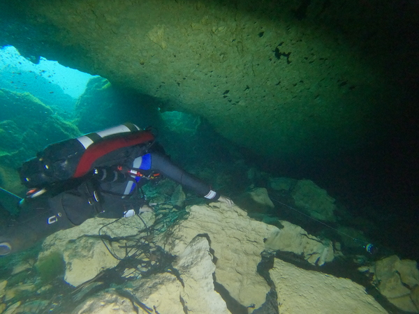 Dayo Scuba Center LLC, Orlando Florida www.dayo.com