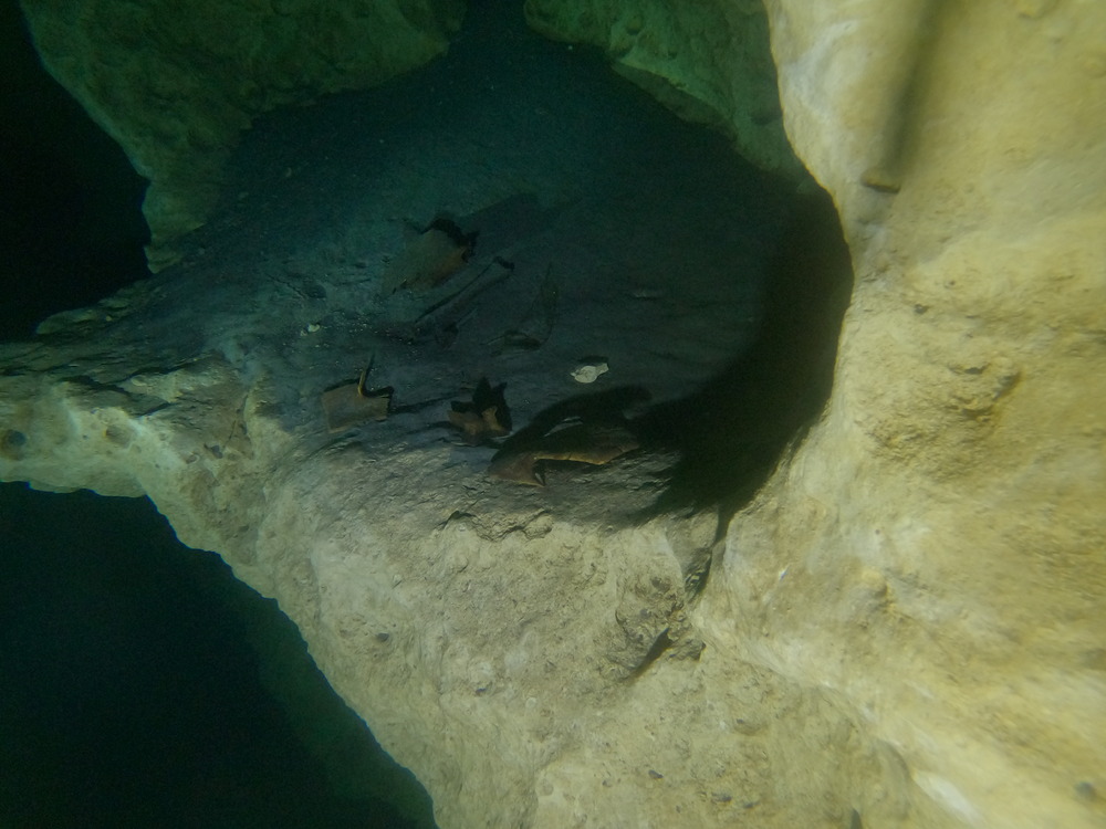 Dayo Scuba Center LLC, Orlando Florida www.dayo.com