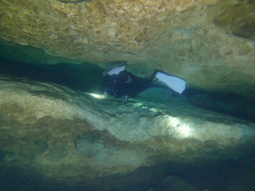 Dayo Scuba Center LLC, Orlando Florida www.dayo.com