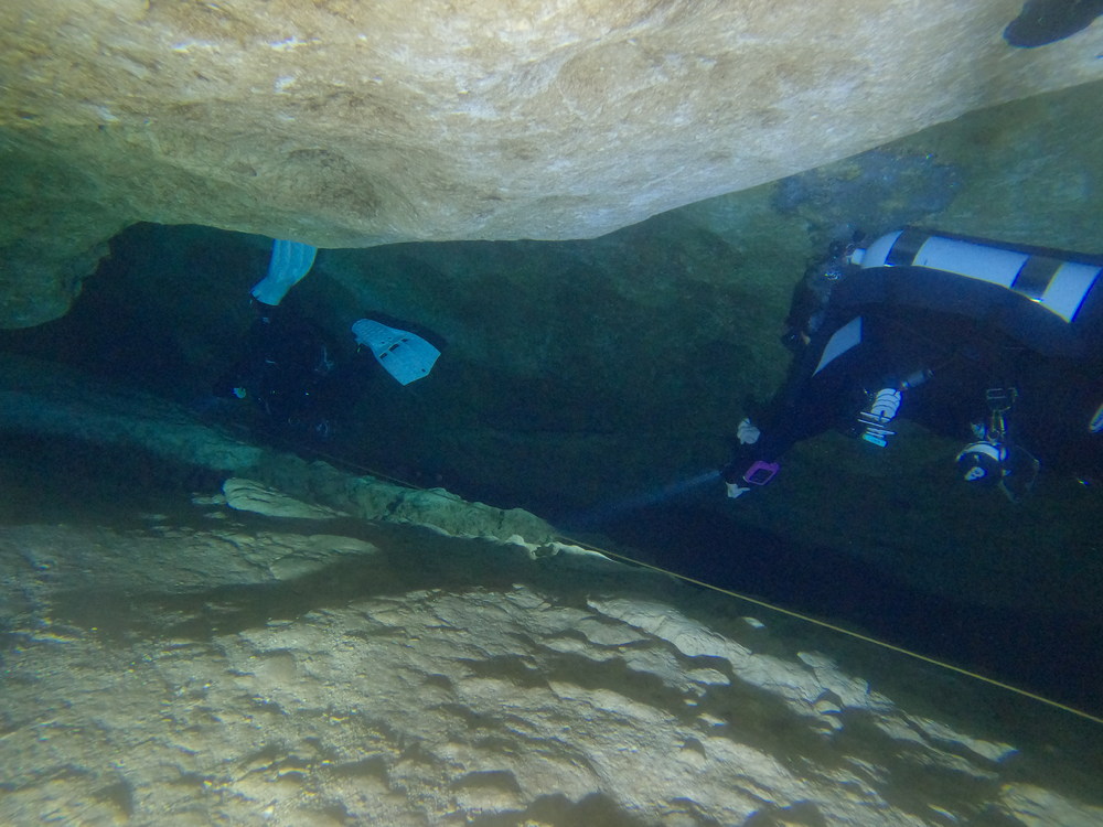 Dayo Scuba Center LLC, Orlando Florida www.dayo.com