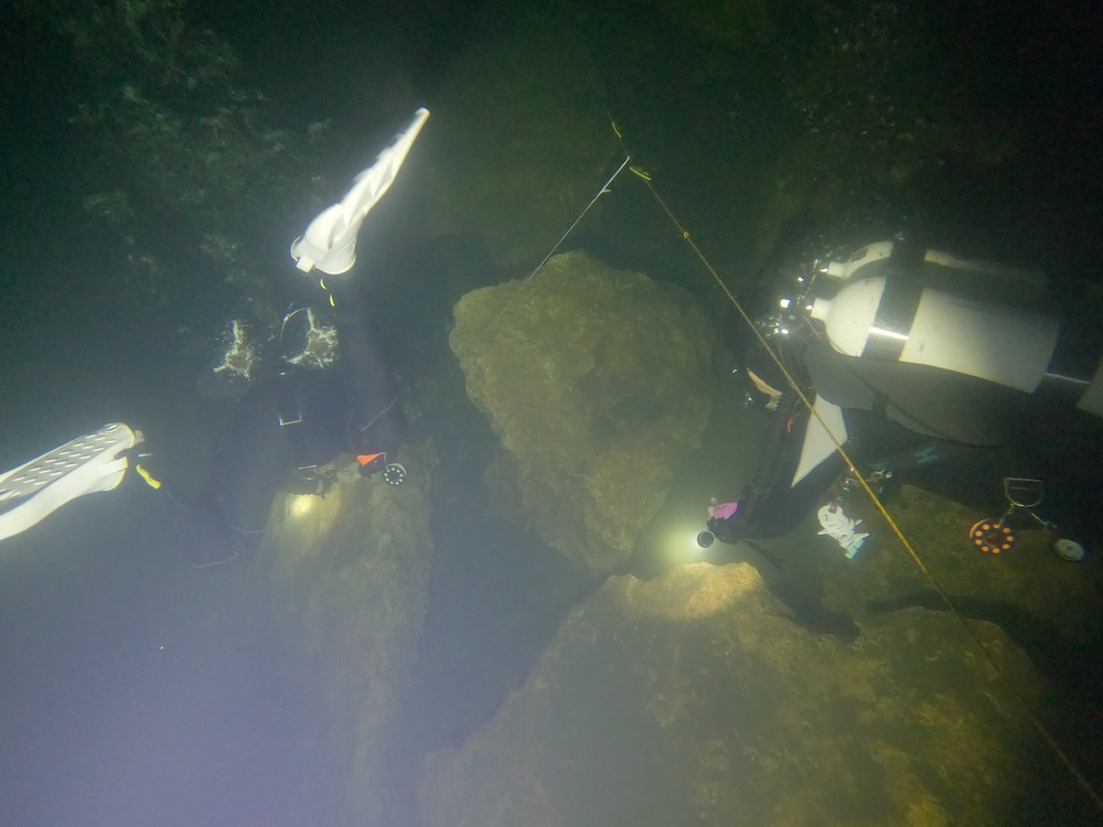 Dayo Scuba Center LLC, Orlando Florida www.dayo.com