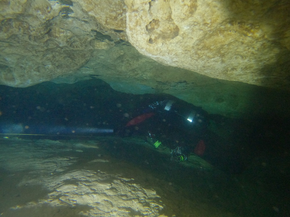 Dayo Scuba Center LLC, Orlando Florida www.dayo.com