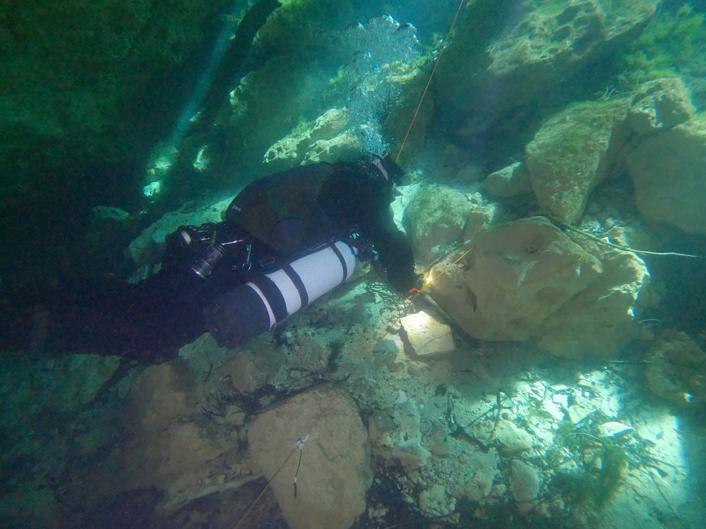 Dayo Scuba Center LLC, Orlando Florida www.dayo.com