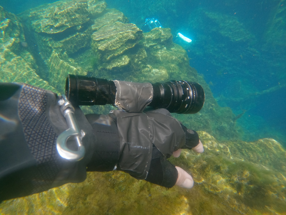 Dayo Scuba Center LLC, Orlando Florida www.dayo.com