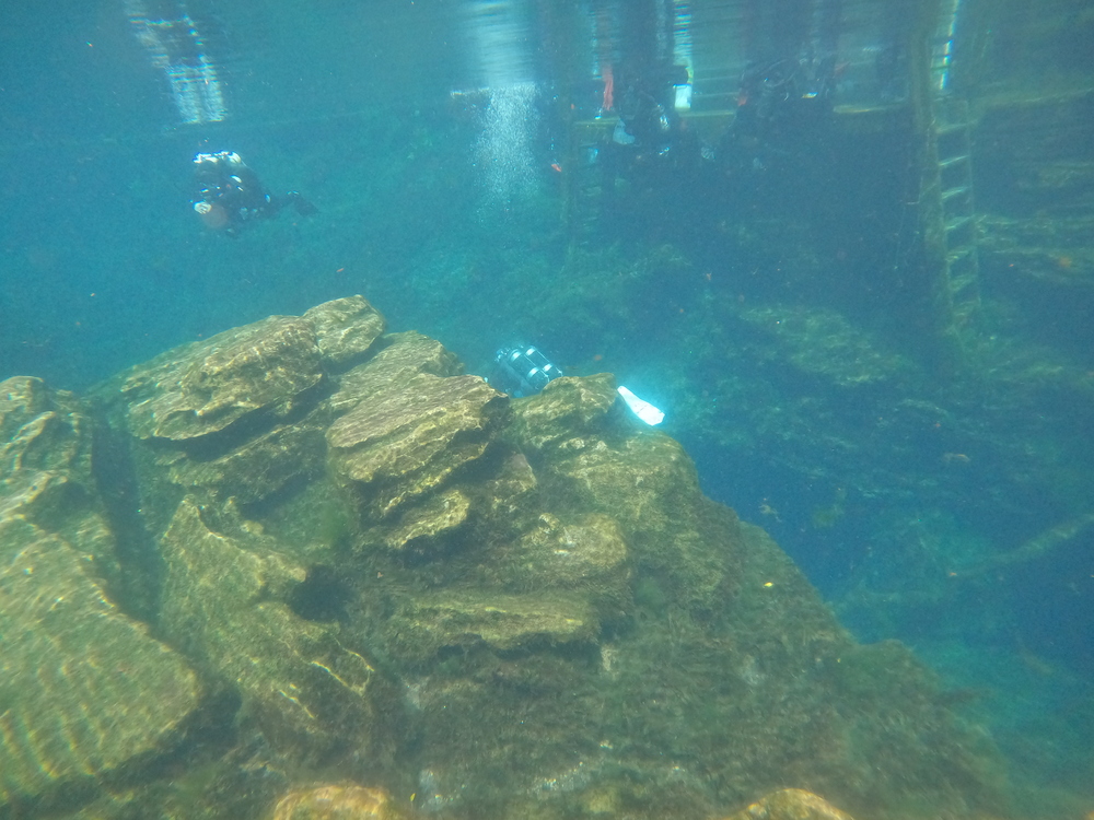 Dayo Scuba Center LLC, Orlando Florida www.dayo.com
