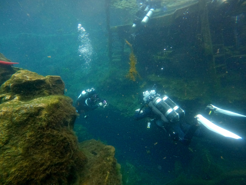 Dayo Scuba Center LLC, Orlando Florida www.dayo.com
