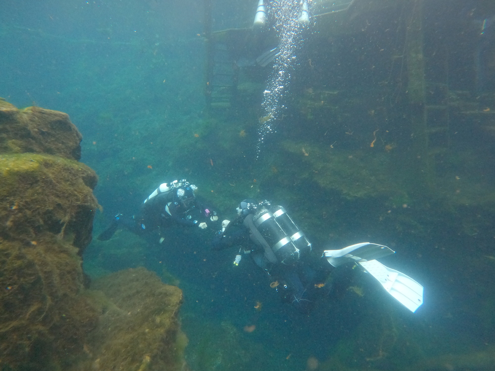 Dayo Scuba Center LLC, Orlando Florida www.dayo.com