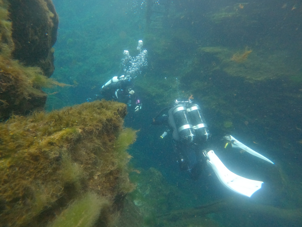 Dayo Scuba Center LLC, Orlando Florida www.dayo.com