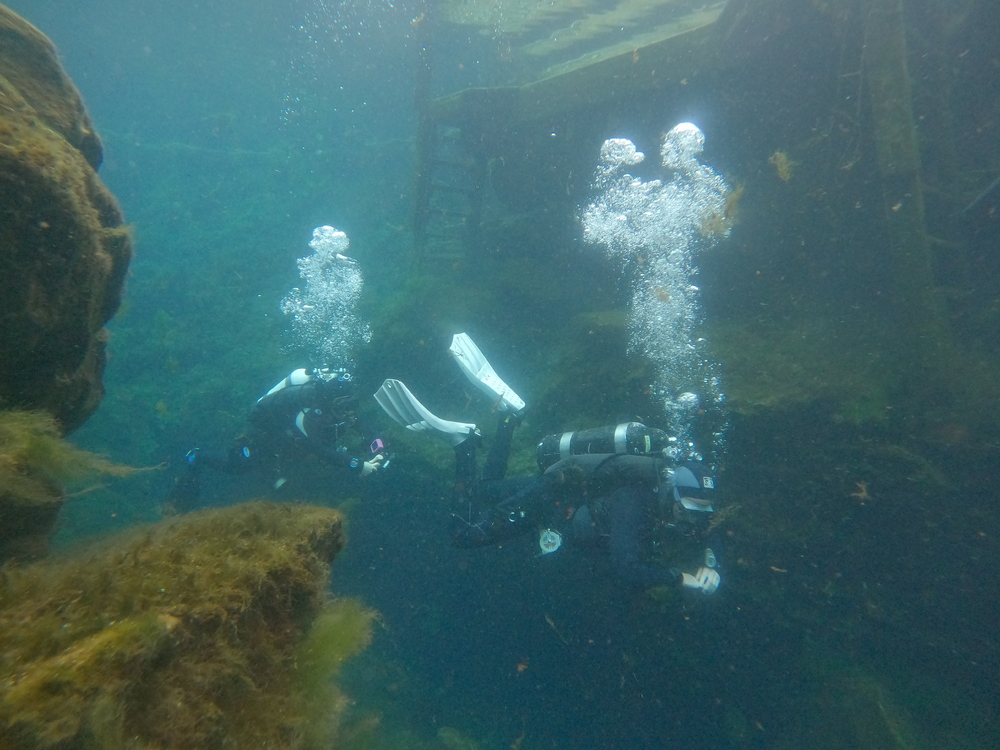 Dayo Scuba Center LLC, Orlando Florida www.dayo.com